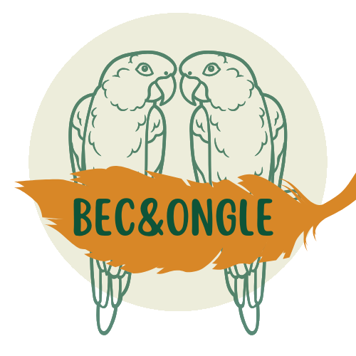 Bec&Ongle
