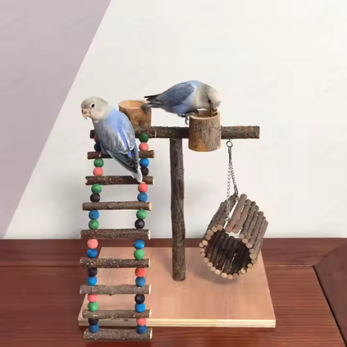 🪵 Perchoir en Bois Naturel avec Socle – Liberté perchée pour becs crochus